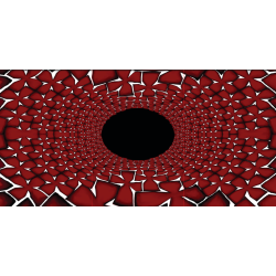 2012 XPORTAL Limited Edition Backdrop