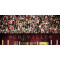 2012 HATS OFF TO THE BULL Limited Edition Backdrop