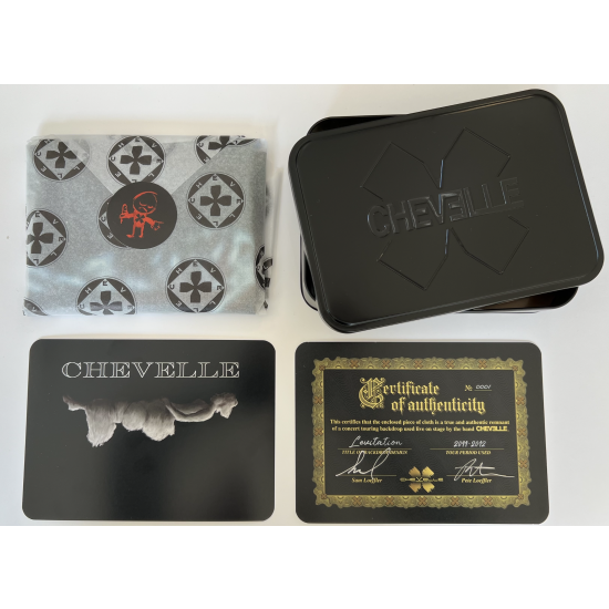 2011 LEVITATION Limited Edition Backdrop